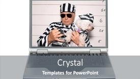  Presentation with police dog - Slides enhanced with man-and-his-dog-under background and a gray colored foreground