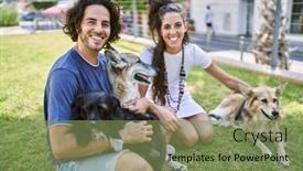  Presentation with herb - 