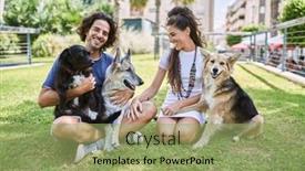  Presentation with herb - 