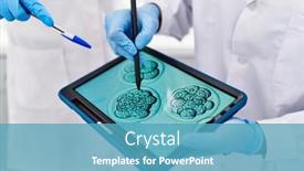  Presentation with embryo - PPT theme consisting of man-and-woman-scientist-partners background and a teal colored foreground