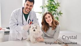  Presentation with veterinary - PPT theme featuring man-and-woman-veterinarian-examining background and a mint green colored foreground