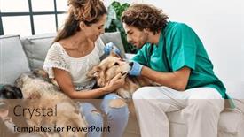  Presentation with ear - PPT theme having man-and-woman-wearing-veterinarian background and a coral colored foreground