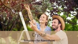  Presentation with gold man smile - Presentation theme with man-and-womanpicking-cherries-smiling background and a coral colored foreground