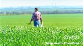  Presentation with agriculture crops - Presentation design with man-as-a-farmer-walking background and a  colored foreground