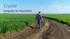  Presentation with checks - Amazing presentation design having man-as-a-farmer-walking backdrop and a light blue colored foreground