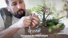  Presentation with bonsai - Presentation theme enhanced with man-at-home-taking-care background and a violet colored foreground