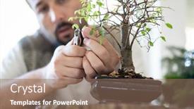  Presentation with bonsai - Audience pleasing slide set consisting of man-at-home-taking-care backdrop and a coral colored foreground