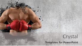  Presentation with red banner - PPT theme having man-boxer-in-red-gloves background and a light gray colored foreground
