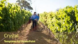  Presentation with plants - Slide deck with man carrying his girlfriend amidst plants at vineyard during sunny day background and a tawny brown colored foreground