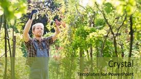  Presentation with organic garden supply store - Audience pleasing presentation consisting of man clipping branch in garden backdrop and a  colored foreground