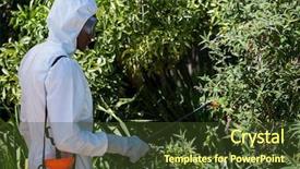  Presentation with pest control - Presentation theme with man doing pest control background and a tawny brown colored foreground