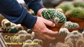  Presentation with shopping - Slide set enhanced with man-gardener-shopping-in-garden background and a  colored foreground