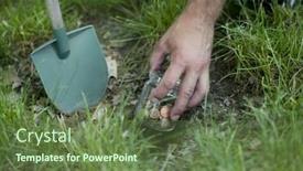  Presentation with man heart attact hand hold - PPT layouts enhanced with man-hand-digging-savings background and a tawny brown colored foreground