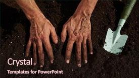  Presentation with urban farming project - Slides with man hands dirty on substratum background and a wine colored foreground