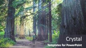  Presentation with trail - PPT theme enhanced with man-hiking-bay-the-trail background and a dark gray colored foreground