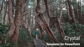  Presentation with trail - Presentation having man-hiking-bay-the-trail background and a dark gray colored foreground