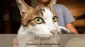  Presentation with play - 