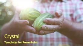  Presentation with pickle - Colorful slide set enhanced with man holding cucumber pickles fresh backdrop and a tawny brown colored foreground
