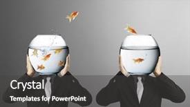  Presentation with goldfish - Cool new PPT theme with man holding goldfish backdrop and a dark gray colored foreground