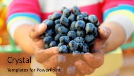  Presentation with hands holding - PPT theme enhanced with man holding grape in hands background and a red colored foreground