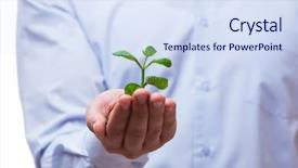  Presentation with seedling - Audience pleasing slide deck consisting of man holding green seedling isolated on white backdrop and a sky blue colored foreground