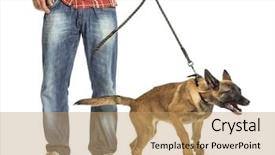  Presentation with leash - Slide deck consisting of man holding leash of aggressive background and a coral colored foreground