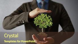  Presentation with hand holding plant - PPT layouts consisting of man holding plant in hand background and a  colored foreground