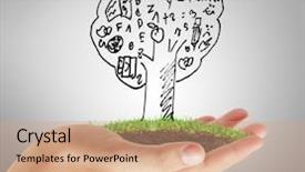  Presentation with hand holding plant - Presentation theme having desarrollo sostenible - man holding plant in hand background and a coral colored foreground