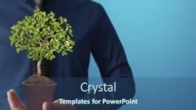  Presentation with hand holding plant - 