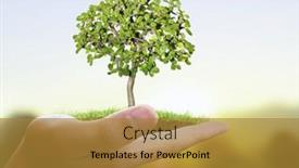  Presentation with hand holding plant - 