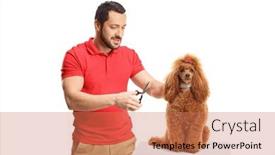  Presentation with poodle - Presentation featuring man-holding-scissors-and-grooming background and a coral colored foreground