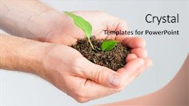 Presentation with seedling - Slide set consisting of man holding seedling in his background and a  colored foreground