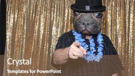  Presentation with party time - Colorful presentation theme enhanced with photo booth a man wear backdrop and a violet colored foreground