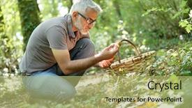  Presentation with mushrooms - Amazing slide set having man in hood picking ceps backdrop and a mint green colored foreground