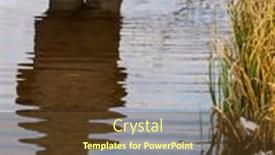  Presentation with rubber - Audience pleasing presentation theme consisting of man-in-rubber-boots-reflected backdrop and a tawny brown colored foreground