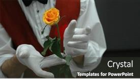  Presentation with rose yellow - Slides consisting of man-in-suit-and-white background and a dark gray colored foreground