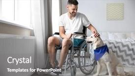  Presentation with service animal - Colorful presentation enhanced with man in wheelchair with service backdrop and a gray colored foreground