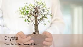  Presentation with bonsai - Slide deck featuring man-indoors-taking-care background and a coral colored foreground