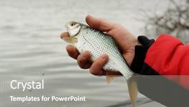  Presentation with spring - Cool new PPT theme with man is holding roach early backdrop and a gray colored foreground