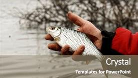  Presentation with spring - Beautiful PPT layouts featuring man is holding roach early backdrop and a coral colored foreground