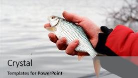  Presentation with spring - PPT theme having man is holding roach early background and a light gray colored foreground