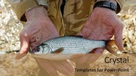  Presentation with aquaculture big cages for fish - Cool new theme with man is holding roach fish backdrop and a coral colored foreground
