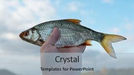  Presentation with sky diving man falling - Beautiful theme featuring man is holding roach fish backdrop and a light blue colored foreground