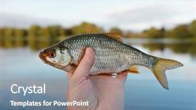  Presentation with fish river - Cool new slide deck with man is holding roach fish backdrop and a seafoam green colored foreground