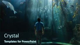  Presentation with fish aquarium - 