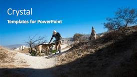  Presentation with cappadocia - Presentation design having man-petting-a-large-dog background and a teal colored foreground