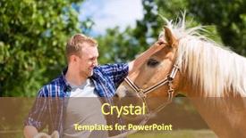  Presentation with farm - Amazing presentation theme having man petting horse on pony backdrop and a tawny brown colored foreground