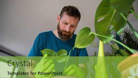  Presentation with home gardening - PPT theme with man-planting-flowers-at-home background and a seafoam green colored foreground