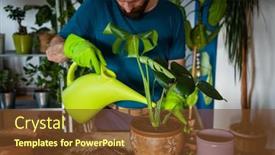  Presentation with home gardening - Colorful presentation theme enhanced with man-planting-houseplants-indoors-home backdrop and a tawny brown colored foreground