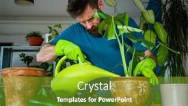  Presentation with home gardening - PPT layouts having man-planting-houseplants-indoors-home background and a tawny brown colored foreground